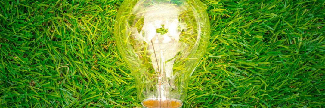 eco-concept-light-bulb-grow-in-the-grass